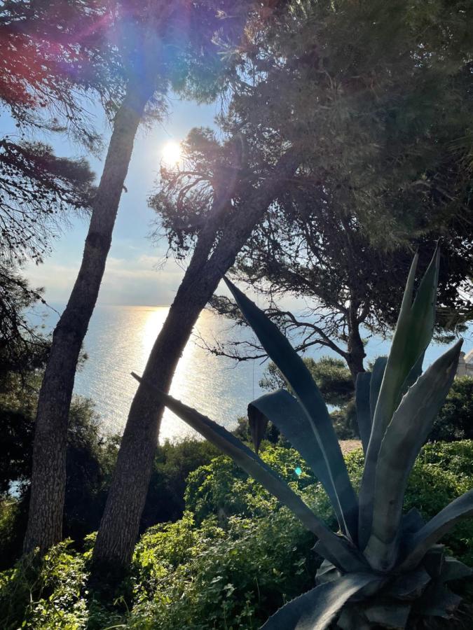 Casa Soluna Jávea Zewnętrze zdjęcie